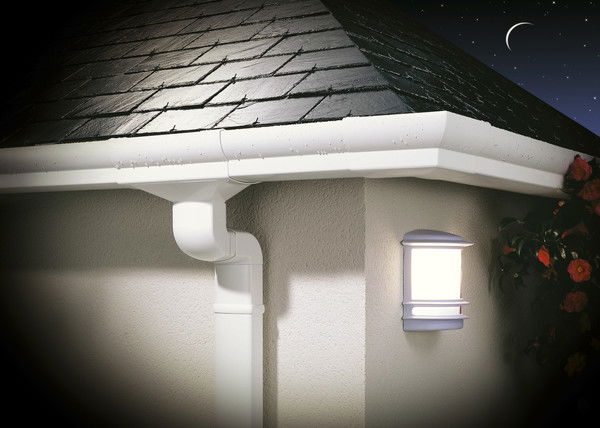 Компания Скиф