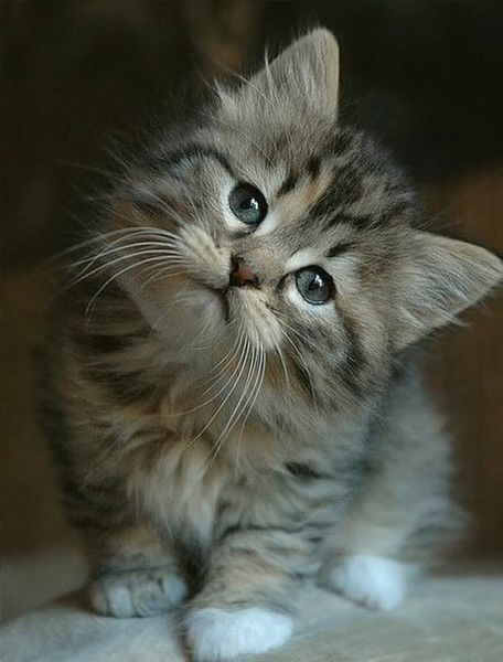 Марина Ткачук