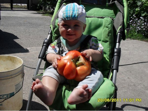 Наталья Дроботюк