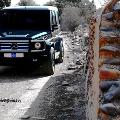 Саня Грибанов