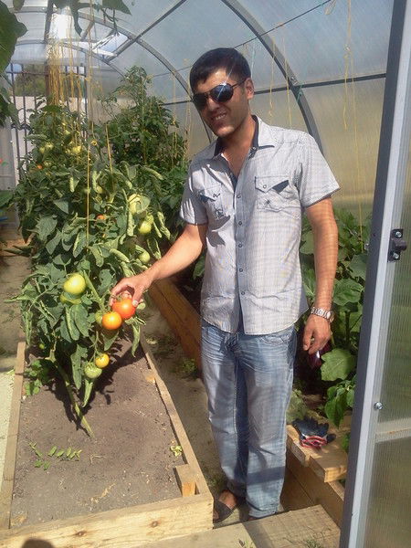 Хамза Бобоев