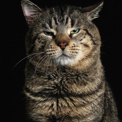 Женя Морозов