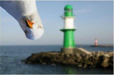 Татьяна Соболева