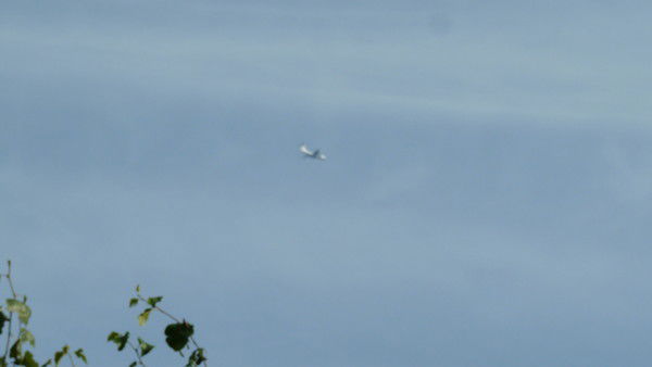 Иван Онохов