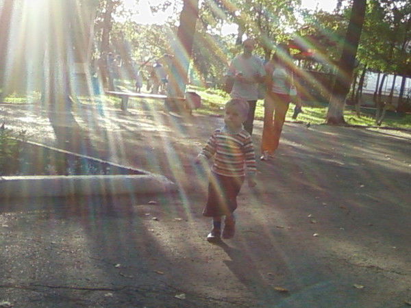 Олег Щекочихин