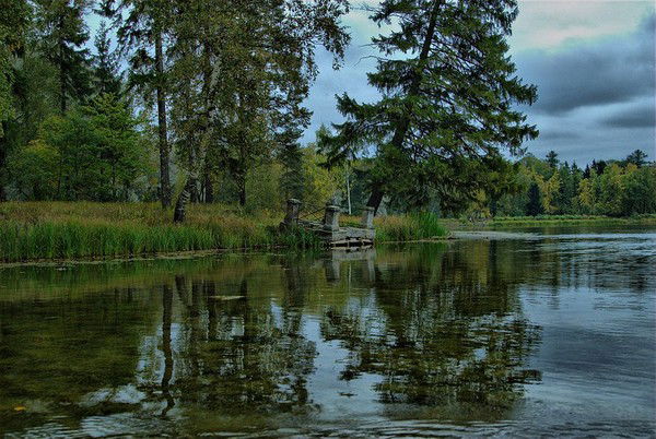 Дарья Краснопольская