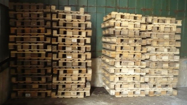 Лиля Мустаева