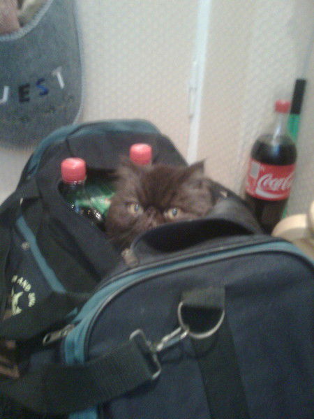 Ekaterina Seleznjova