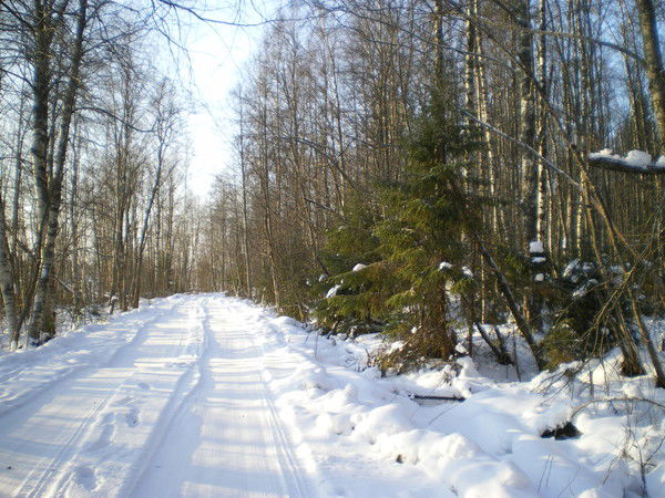 Надежда Порсева