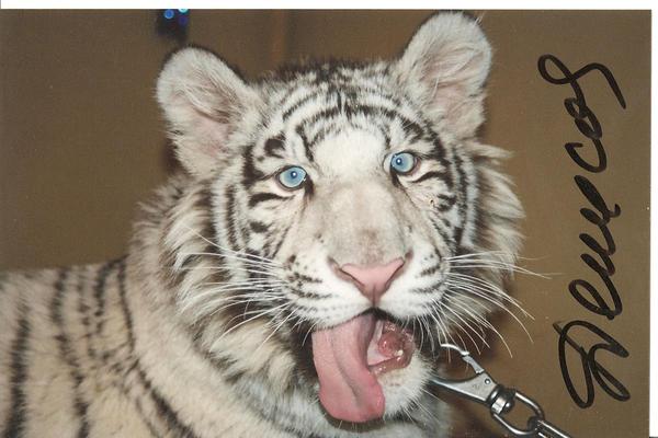 Галина Федотова