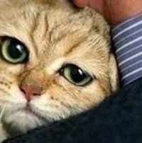 Алиса Новоселкина