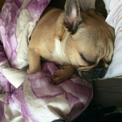 Оксана Ищенко