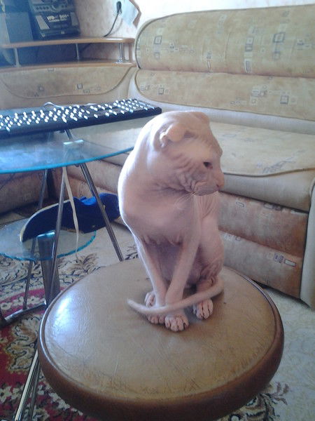 Остап Осташевский