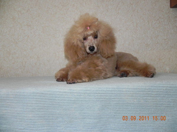 Ольга Кащеева