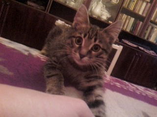 Галина Савастеенко