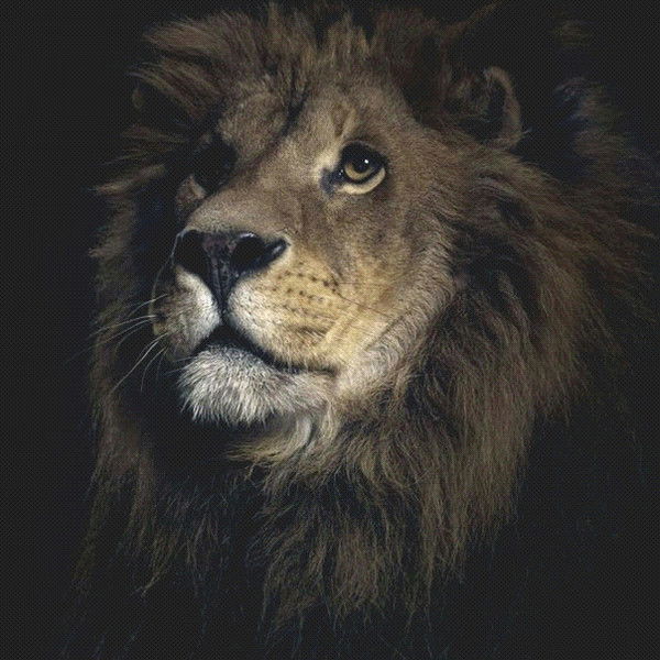 Сергей Иликбаев