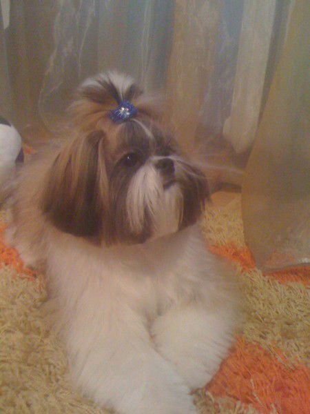 Виталий Третьяков