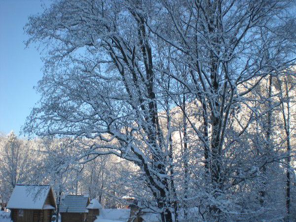 Тамара Білан