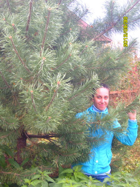 Надежда Богданова