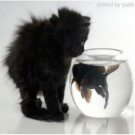 Кристина Снопко