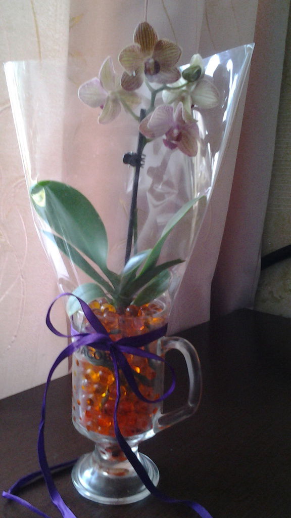 Ирина Валькович