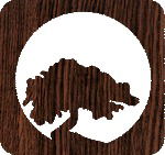 Елена Пасечник