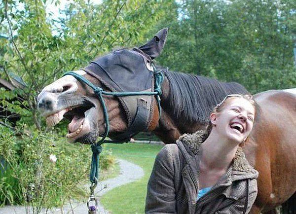 Геннадий Егоров