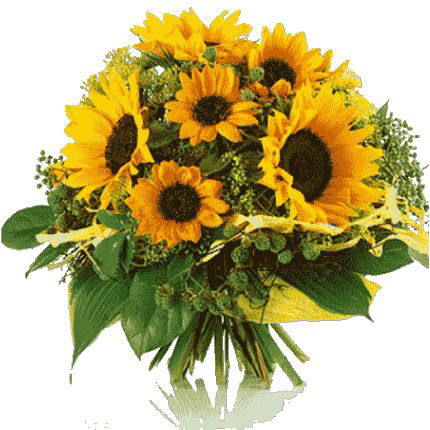 Вера Аширбекова