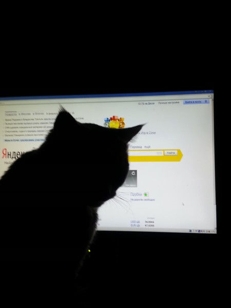 Алекс Юстасов