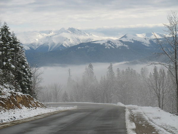 Алексей Алиев