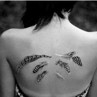 Секвойя Массонская