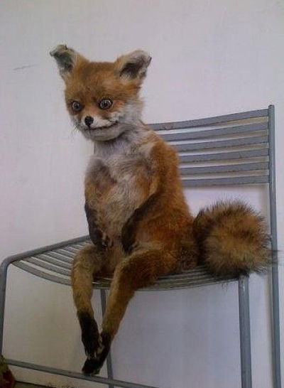 Сергей Лаптев