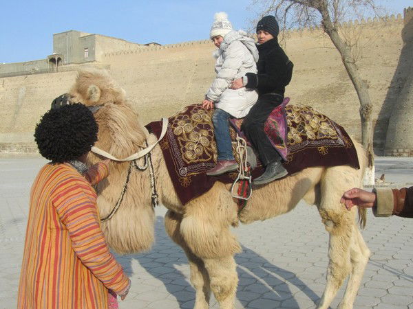 Тимур Ашуров