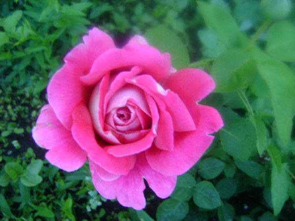 Наталия Жидкова