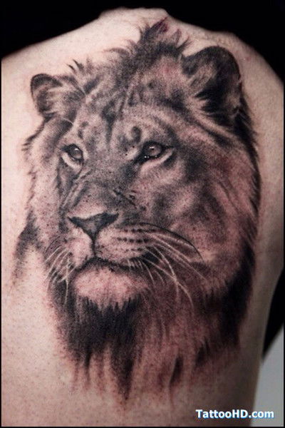 Александр Кравченко