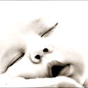 Ayna @}->