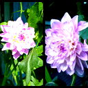 Пойловский Сдк Пойлово