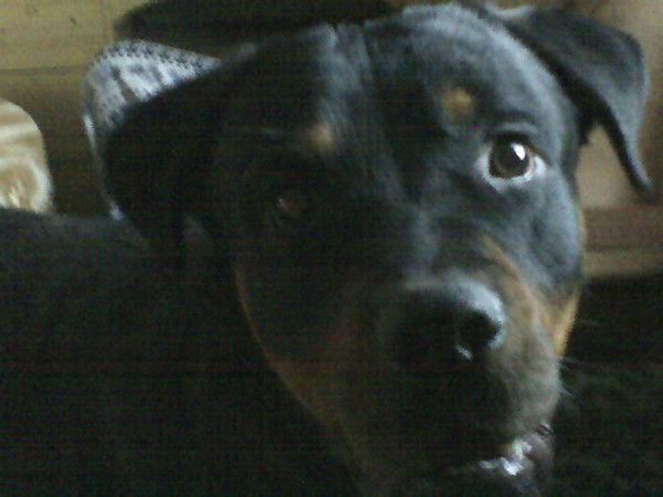 Граф Мирзоев