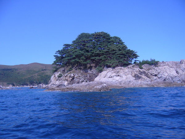 Галина Бурухина