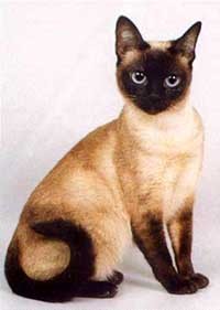 Ольга Клюева