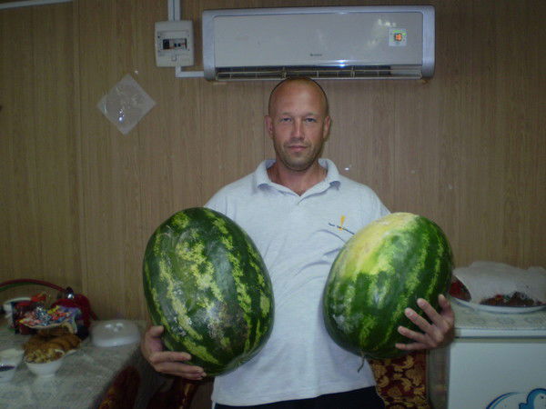 Константин Нестеров