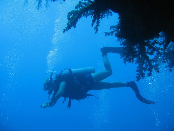 Роман Трунов