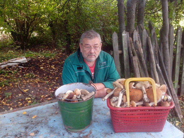 Сергей Козлов