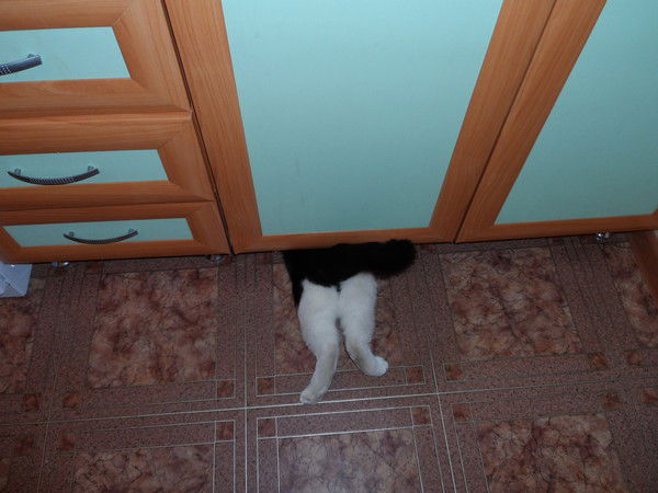 Ирина Тоболова