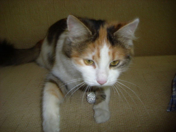 Александр 1