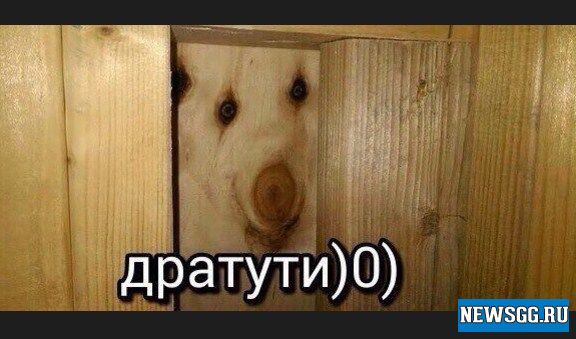 Дмитрий Прилепский