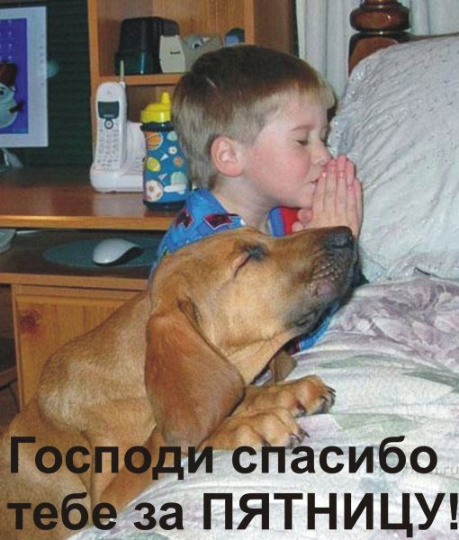 Юрий Кашуба