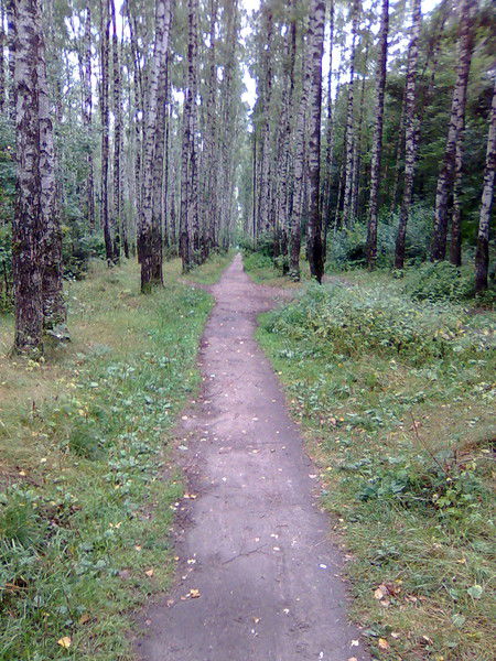 Алексей Савченко