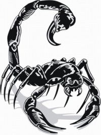 Татьяна Алексеева Работа