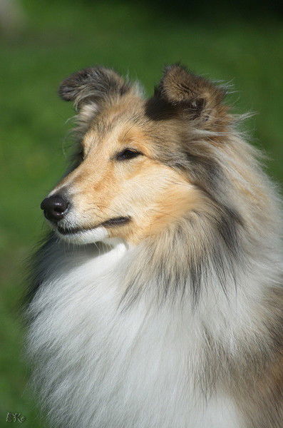 Наталья Куприна